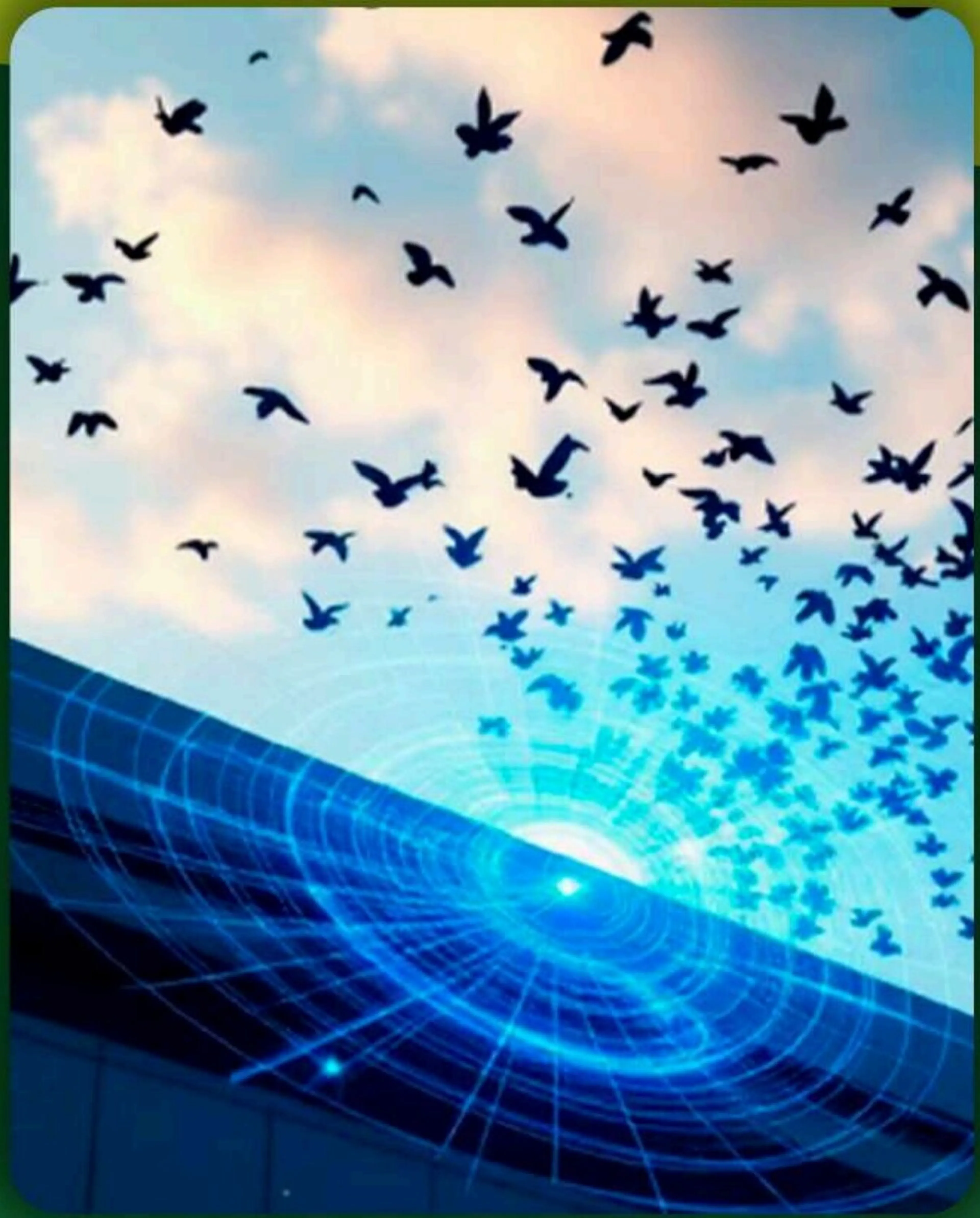 Campo iônico Bird Control