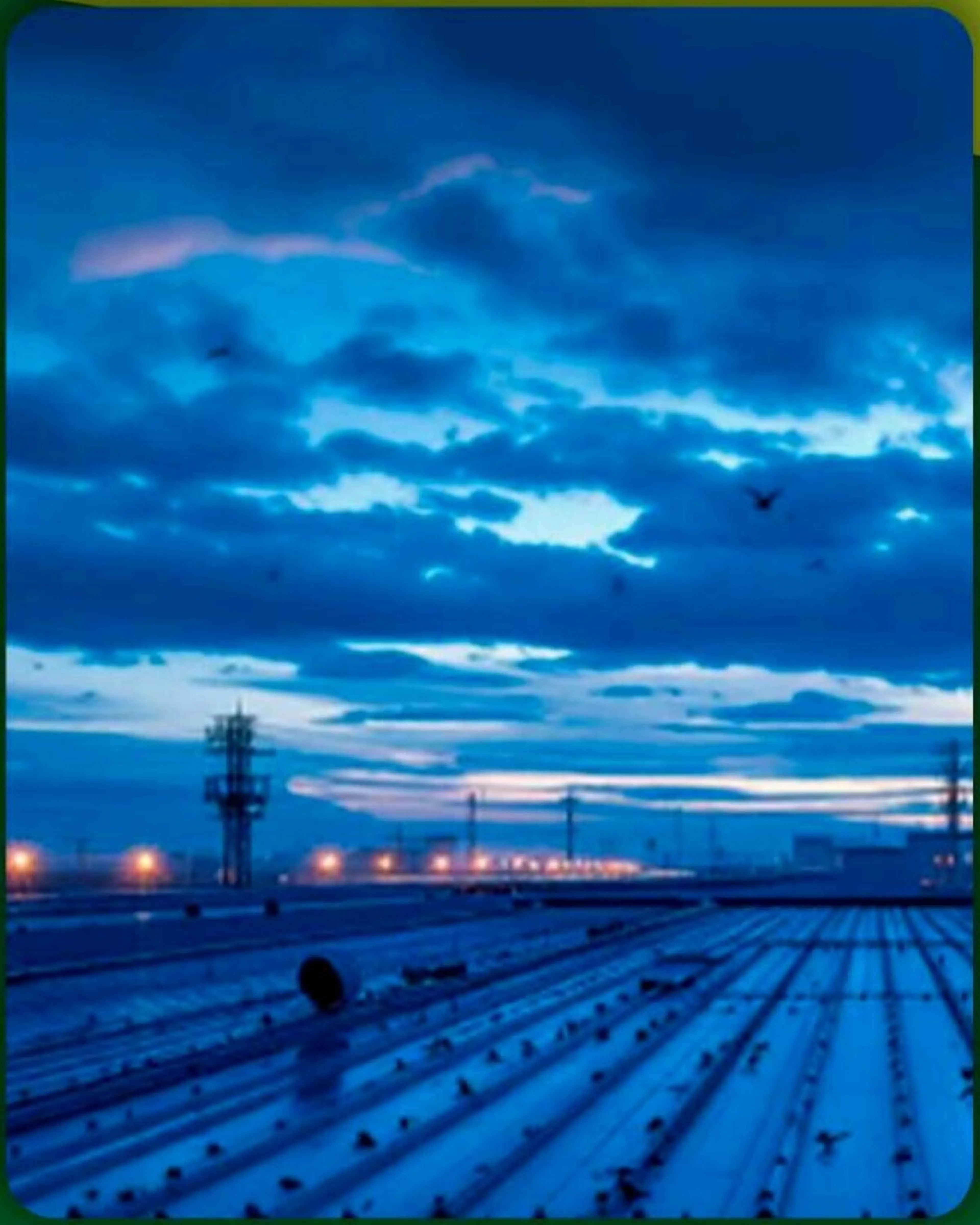 Bird Control em galpão industrial